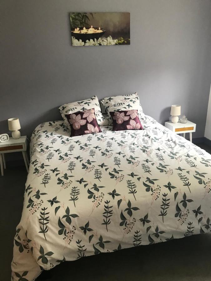 Appartement A Tarascon Sur Ariege Le Sabart Екстер'єр фото
