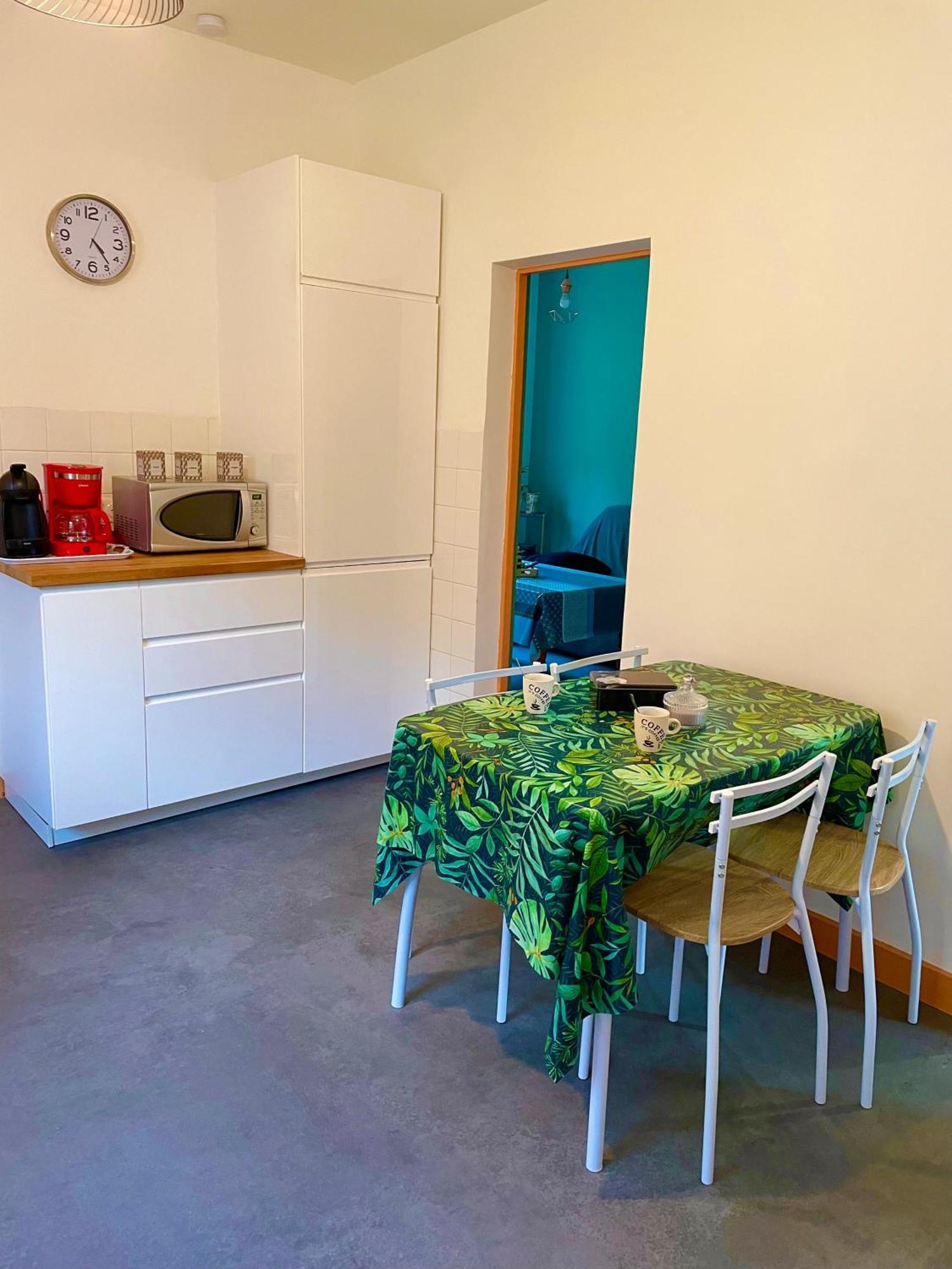 Appartement A Tarascon Sur Ariege Le Sabart Екстер'єр фото