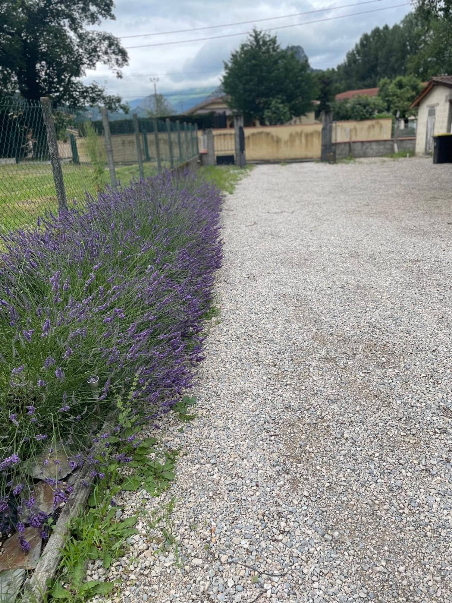 Appartement A Tarascon Sur Ariege Le Sabart Екстер'єр фото